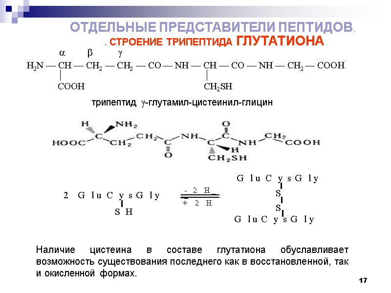 17 . СТРОЕНИЕ ТРИПЕПТИДА ГЛУТАТИОНА  трипептид -глутамил-цистеинил-глицин  Наличие цистеина в составе глутатиона